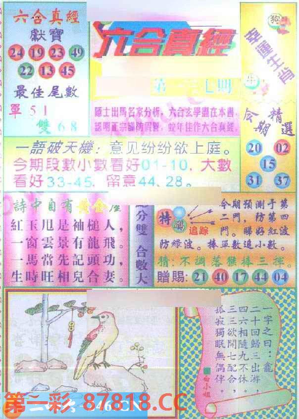 图片载入中...